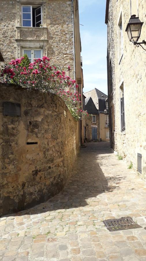 Logis Louisblanc, Muraille Romaine, Lit Queen-Size, Centre Ville Le Mans Dış mekan fotoğraf