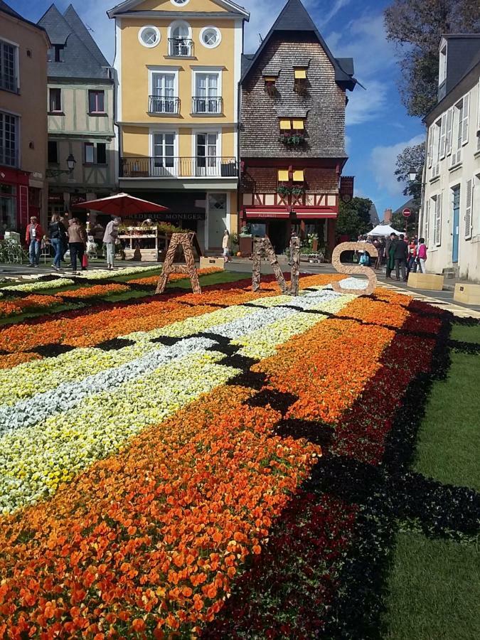 Logis Louisblanc, Muraille Romaine, Lit Queen-Size, Centre Ville Le Mans Dış mekan fotoğraf